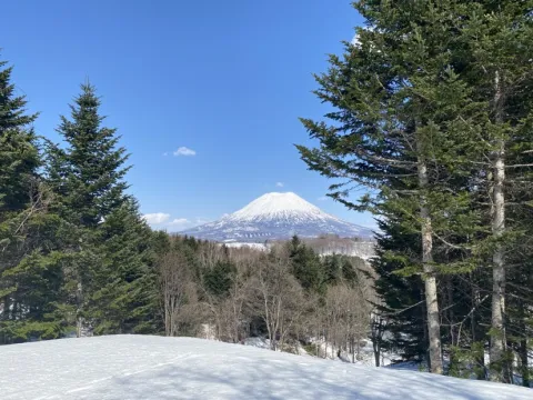 370207226_257903356911879_2664041420787247098_n