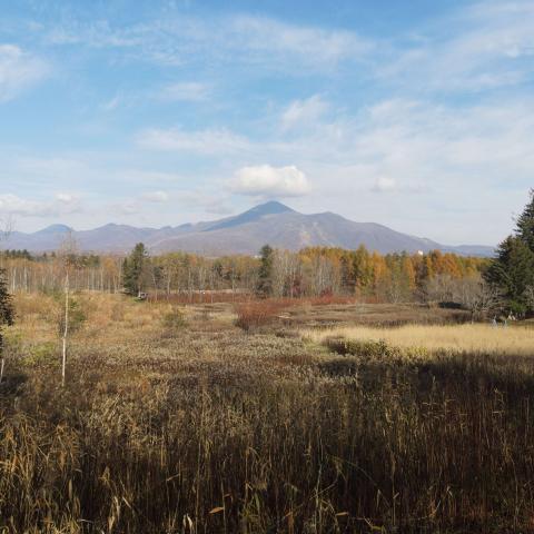 462567111_1245095523364769_4298956100195527987_n