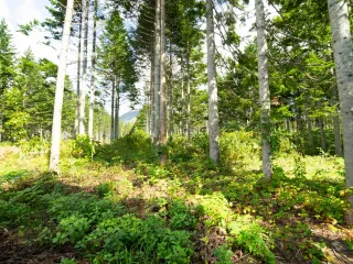 Annupuri Residences Lot#1 (3)