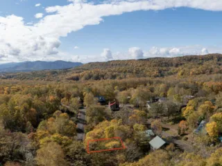 Screenshot 2024-07-05 at 12.50.56 PM